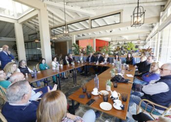 Marbella busca y exige una solución urgente para estabilizar sus playas