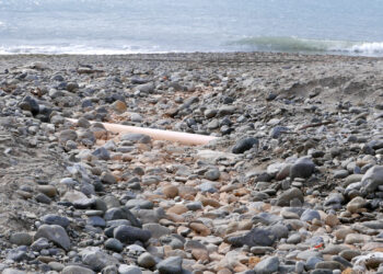 OSP apoya las acciones de estabilización de las playas pero las solicita durante todo el año