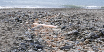 OSP apoya las acciones de estabilización de las playas pero las solicita durante todo el año