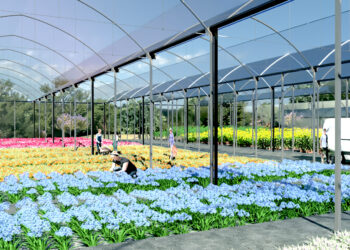 Marbella inicia la construcción de un vivero municipal en Las Chapas