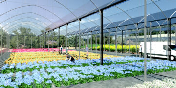 Marbella inicia la construcción de un vivero municipal en Las Chapas