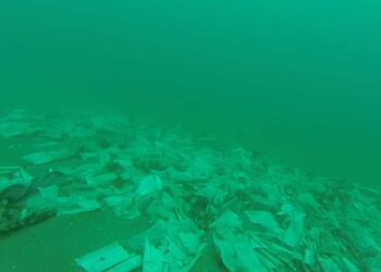 Buceadores encuentran un «basurero de toallitas» junto a la costa de San Pedro Alcántara