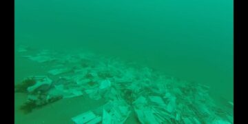 Buceadores encuentran un «basurero de toallitas» junto a la costa de San Pedro Alcántara