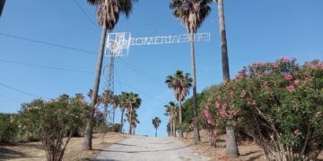 Casares celebra este fin de semana la Romería de la Virgen del Rosario del Campo