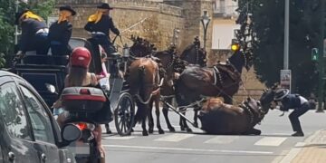 PACMA denuncia más de un centenar de caballos muertos en ferias y romerías en la última década