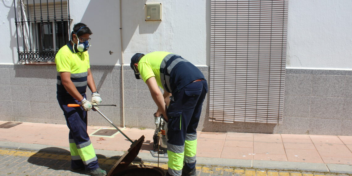 Plan de coche contra las ratas en Estepona