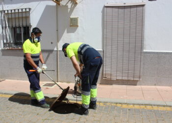 Plan de coche contra las ratas en Estepona