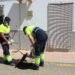 Plan de coche contra las ratas en Estepona
