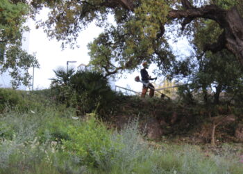 Comienza el Plan de Desbroce Municipal en Casares, Costa y Secadero