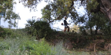 Comienza el Plan de Desbroce Municipal en Casares, Costa y Secadero