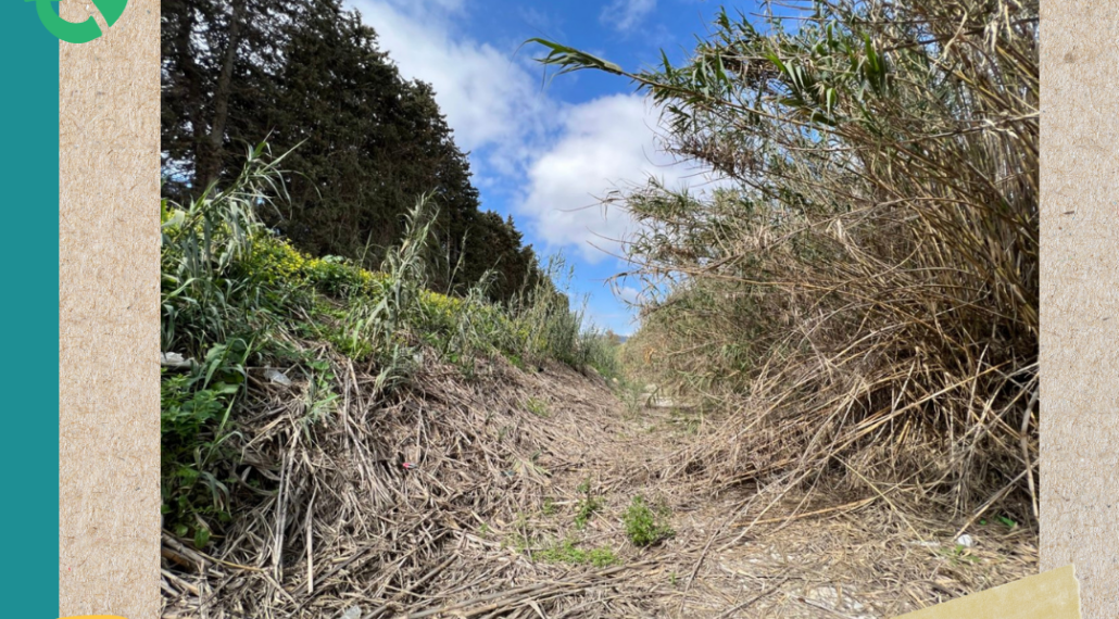 El Programa de Educación Ambiental hará el 20 de mayo una recogida de residuos en el Río Manilva
