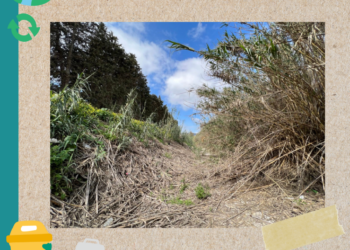 El Programa de Educación Ambiental hará el 20 de mayo una recogida de residuos en el Río Manilva