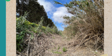 El Programa de Educación Ambiental hará el 20 de mayo una recogida de residuos en el Río Manilva