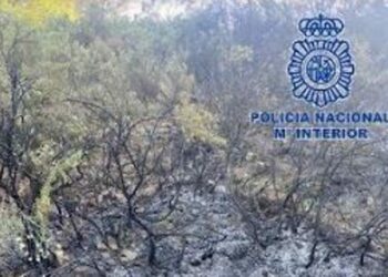 Evitado un incendio en el paraje natural de Montes de Málaga y detenido un hombre por provocar varios focos