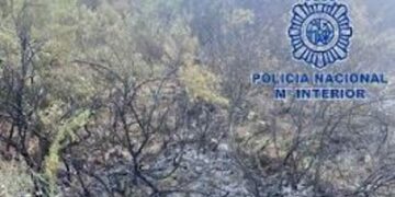 Evitado un incendio en el paraje natural de Montes de Málaga y detenido un hombre por provocar varios focos
