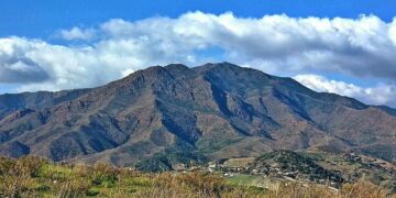 Expertos alertan de la pérdida de suelo en Sierra Bermeja tras las últimas lluvias