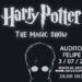 El tributo a Harry Potter ‘The Magic Show’ llega al Auditorio Felipe VI de Estepona