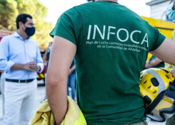 Juanma Moreno, sobre el incendio: «Duele que el fuego afecte otra vez a Sierra Bermeja»