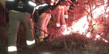 Evacuados 50 caballos del hipódromo de Benahavís