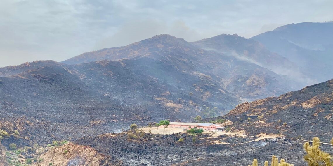 ADANA prepara su evacuación y solicita a particulares que no acudan para así despejar la carretera