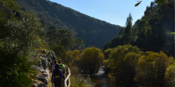 Benahavís repone y mejora varios elementos de senderos municipales