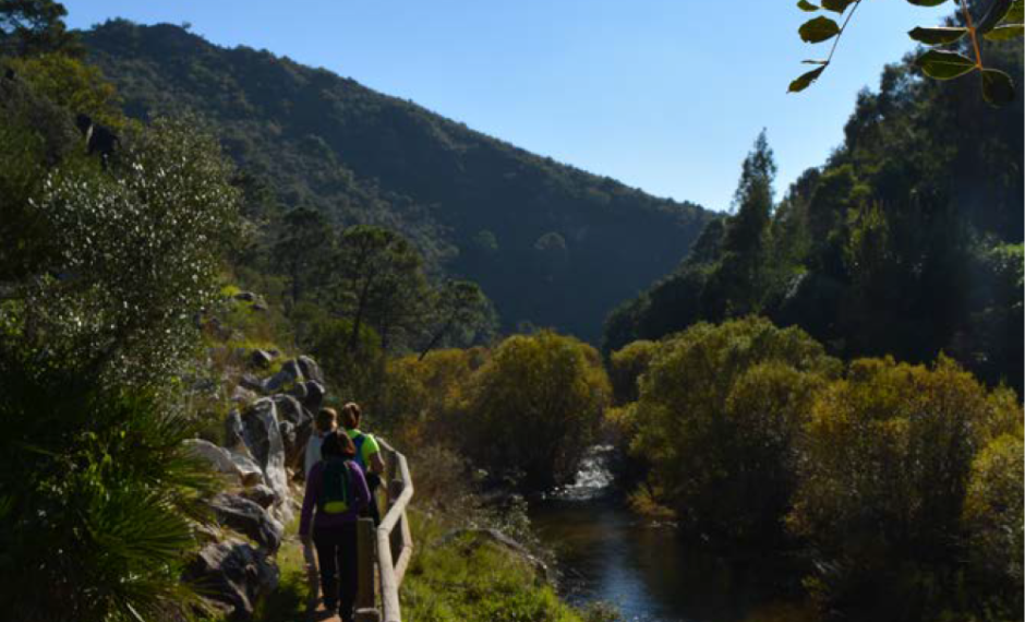 Benahavís repone y mejora varios elementos de senderos municipales