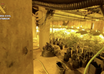 Desarticuladas dos bandas dedicadas al cultivo indoor de marihuana en Mijas