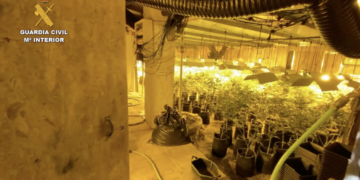 Desarticuladas dos bandas dedicadas al cultivo indoor de marihuana en Mijas