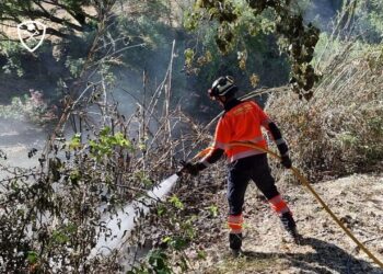 La temporada de riesgo de incendios arranca con la extinción de un fuego en Ubrique