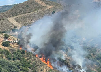 Extinguido el incendio forestal producido hoy entre Marbella y Ojén