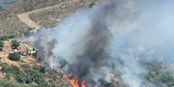 Extinguido el incendio forestal producido hoy entre Marbella y Ojén
