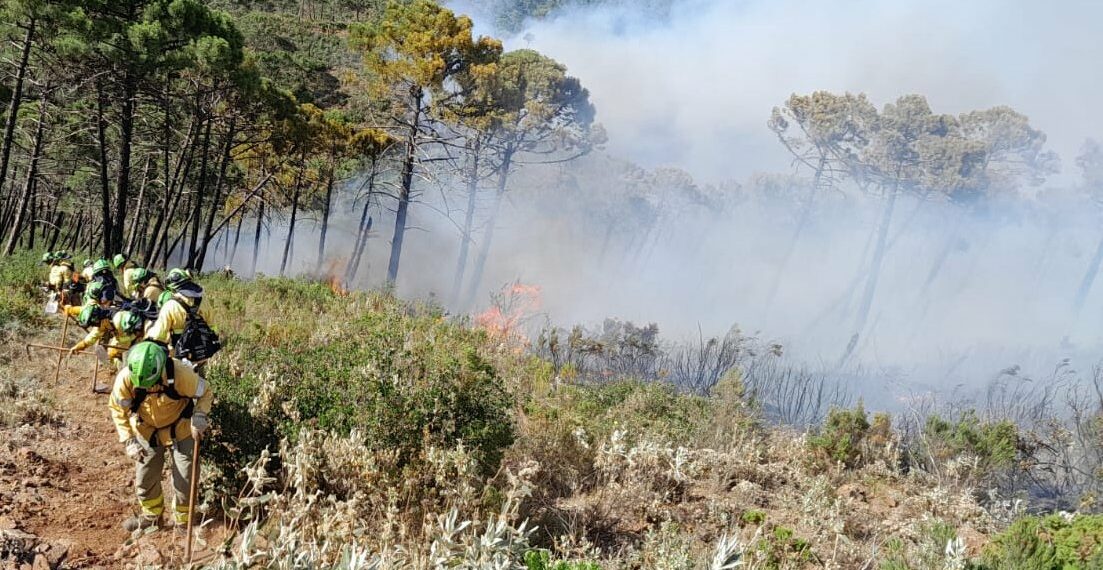 Uno de los bomberos heridos en el incendio de Pujerra está consciente y con buena evolución