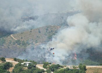 OFICIAL: El incendio forestal ya está estabilizado