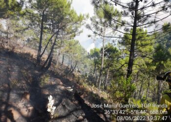 El incendio de Pujerra afecta a unas 2.150 hectáreas de superficie forestal