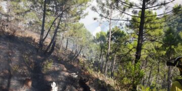 El incendio de Pujerra afecta a unas 2.150 hectáreas de superficie forestal