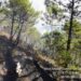 El incendio de Pujerra afecta a unas 2.150 hectáreas de superficie forestal