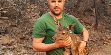 El incendio forestal de Pujerra quedará este miércoles perimetrado en su totalidad