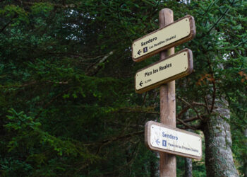 Licitadas las obras para la mejora del camino de acceso a Los Reales de Sierra Bermeja