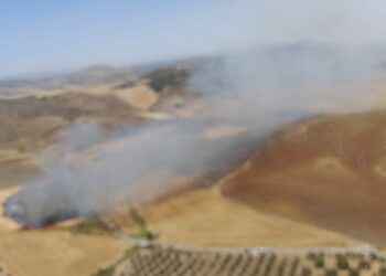 Declarado un incendio agrícola en Teba, Málaga