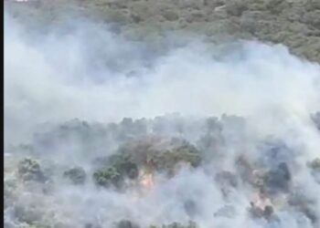 Declarado un incendio forestal en Algatocín