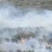 Declarado un incendio forestal en Algatocín
