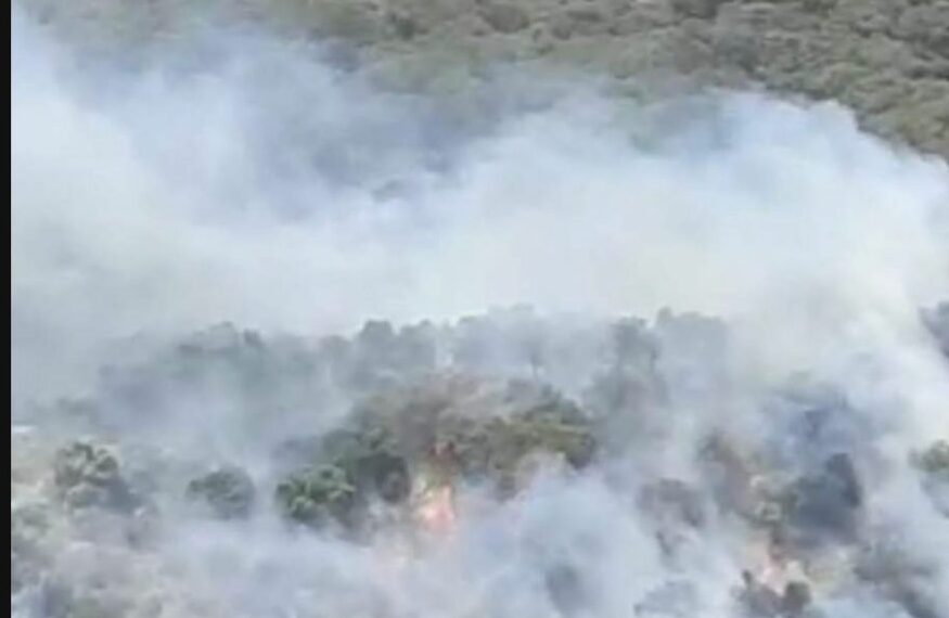 Declarado un incendio forestal en Algatocín