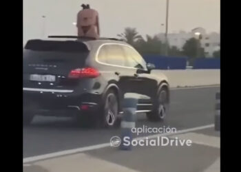 Multan al conductor y la mujer que iba sentada sobre el capó de un coche en Marbella