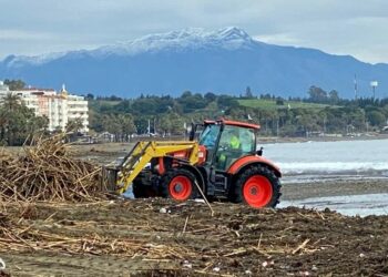 El Gobierno destina 94.294,11 euros a Estepona por la borrasca Filomena