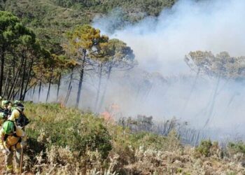 La Plataforma Sierra Bermeja pide la dimisión de García Urbano, Moreno Bonilla y Teresa Ribera