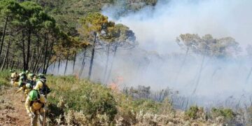La Plataforma Sierra Bermeja pide la dimisión de García Urbano, Moreno Bonilla y Teresa Ribera
