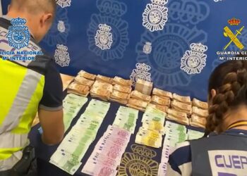 La trama dedicada a blanquear capitales en la compraventa de subtropicales culmina con 82 detenidos