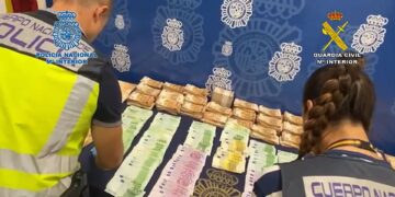 La trama dedicada a blanquear capitales en la compraventa de subtropicales culmina con 82 detenidos