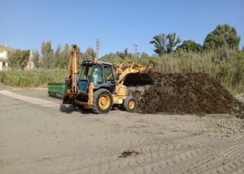 Operarios municipales se afanan en retirar las algas del litoral de Casares