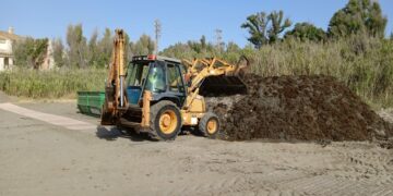 Operarios municipales se afanan en retirar las algas del litoral de Casares